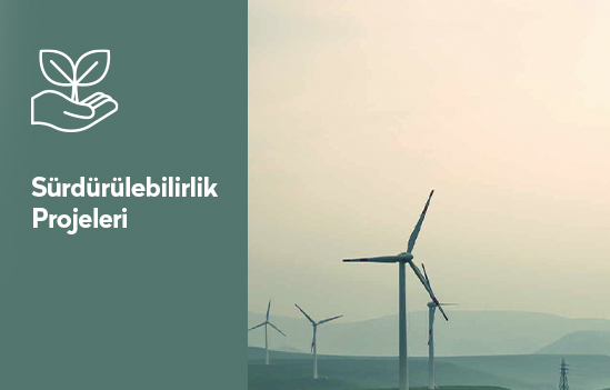 Sürdürülebilirlik Projeleri